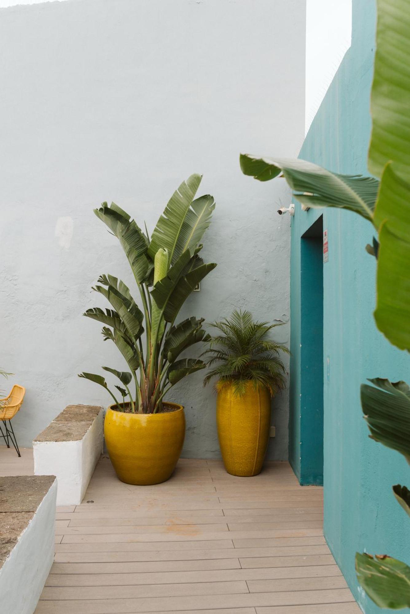 Hotel Dreamsea Boutique Experience Moya (Gran Canaria)