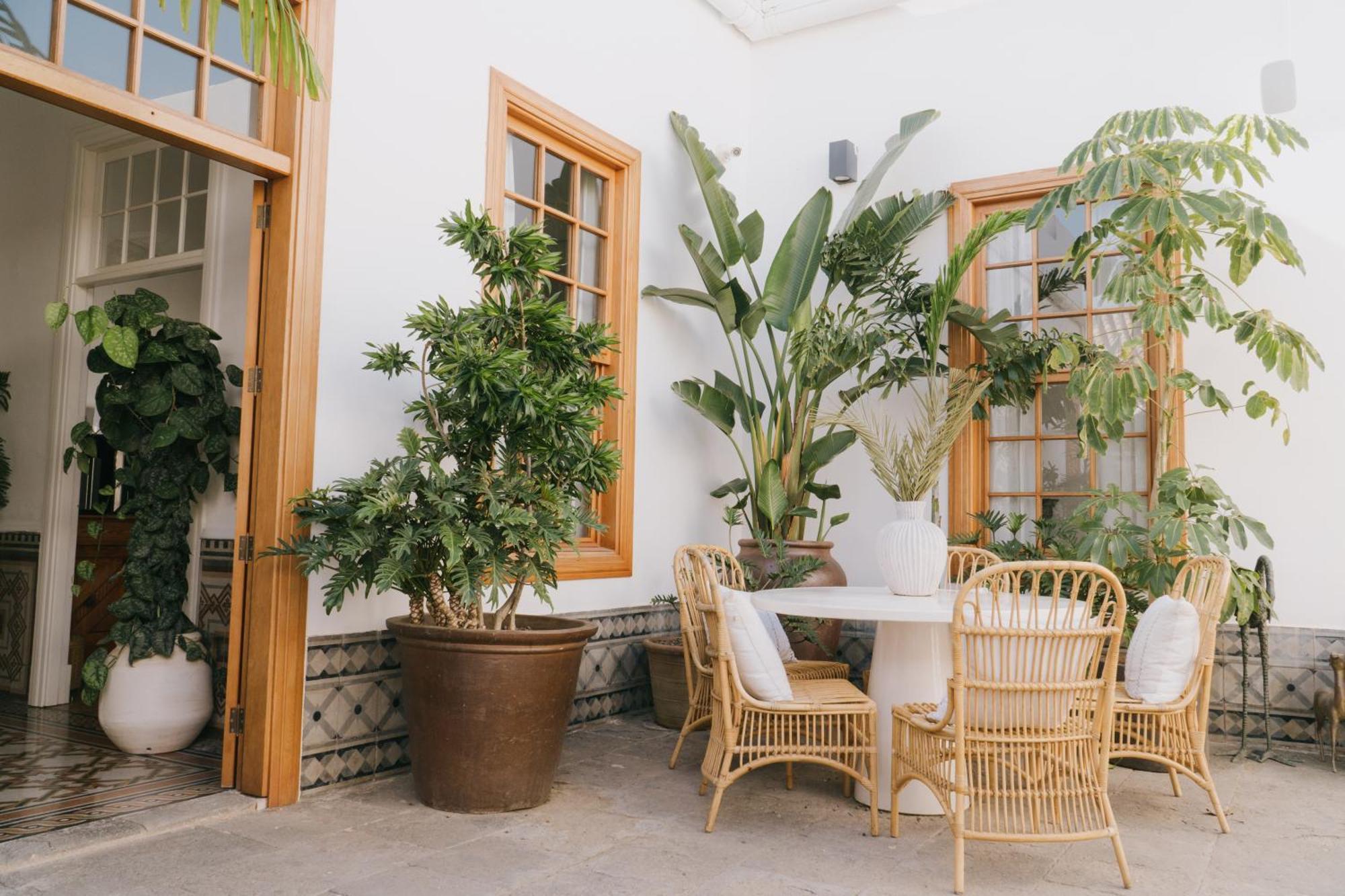 Dreamsea Boutique Experience Hotel Moya (Gran Canaria)